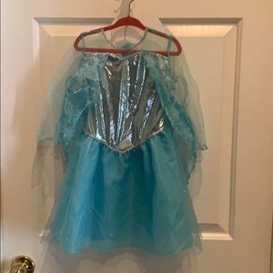 Elsa Frozen Costume